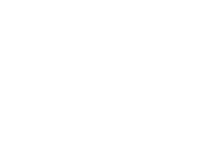 centro holistico saint germain registros reiki maestria icono 2